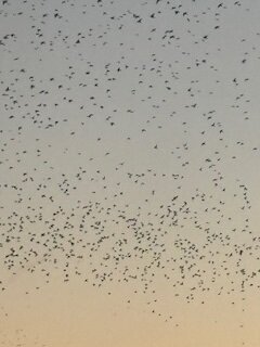 Legge sul consenso: cosa cambia se viene approvata? Legge sul consenso: cosa cambia se viene approvata?