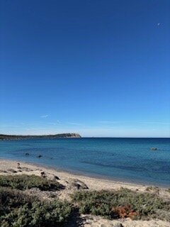 Perch&eacute; l&rsquo;adesione al Board of Peace non &egrave; compatibile con la Costituzione. Intervista a Fanpage .