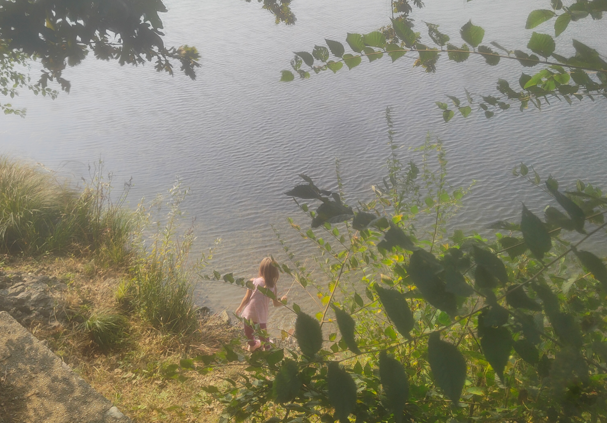 vivere-o-sopravvivere2.png vivere-o-sopravvivere2.png