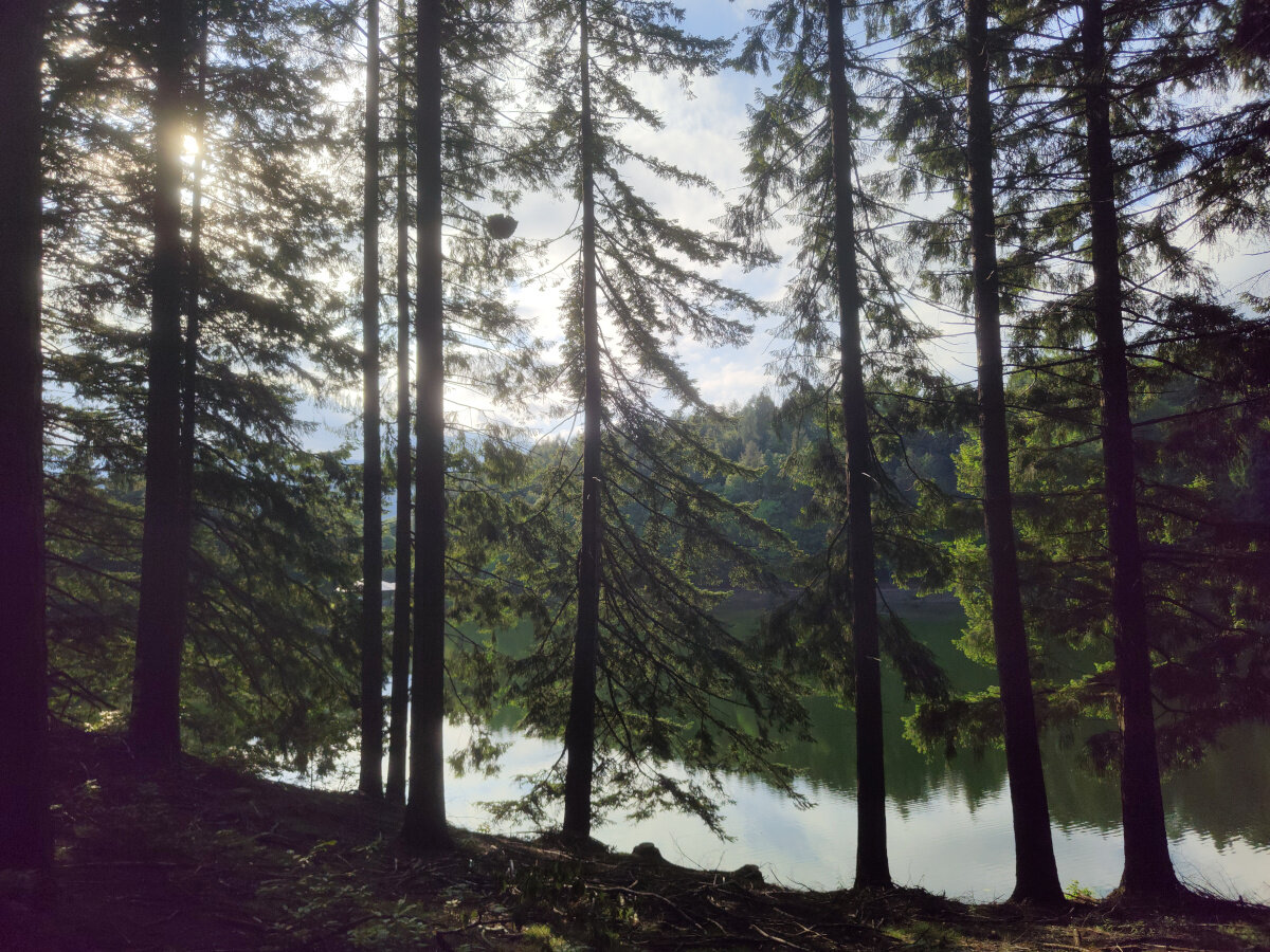 L'epoca delle parole alterate