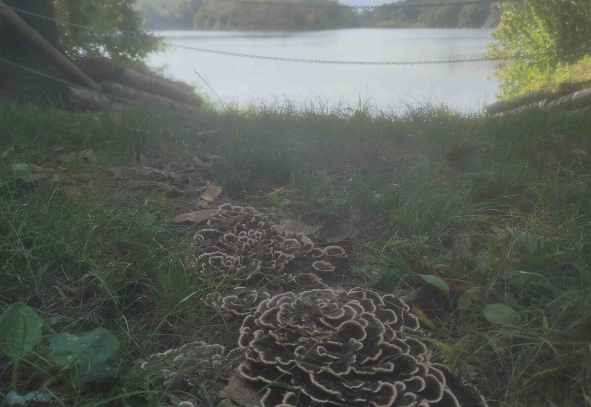 imperfezione.jpeg imperfezione.jpeg