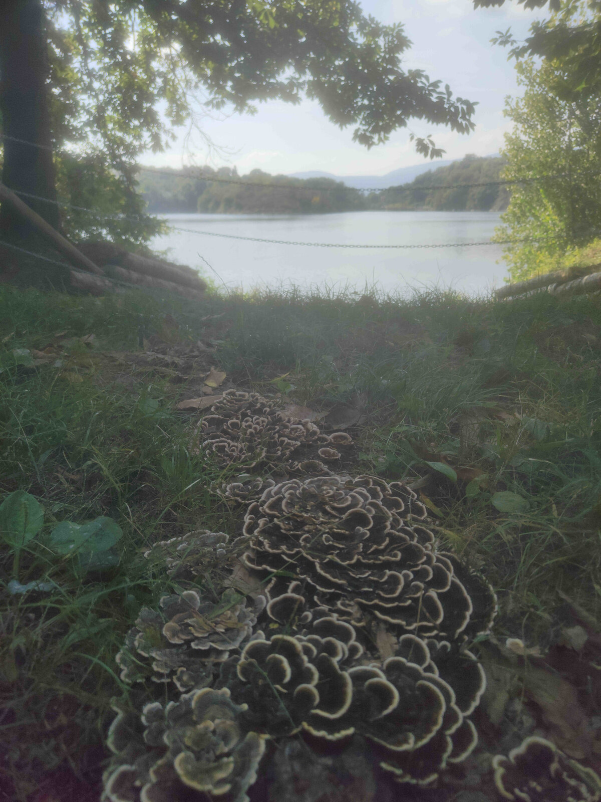 Imperfetto ma vero: l'emozione che resta Imperfetto ma vero: l'emozione che resta