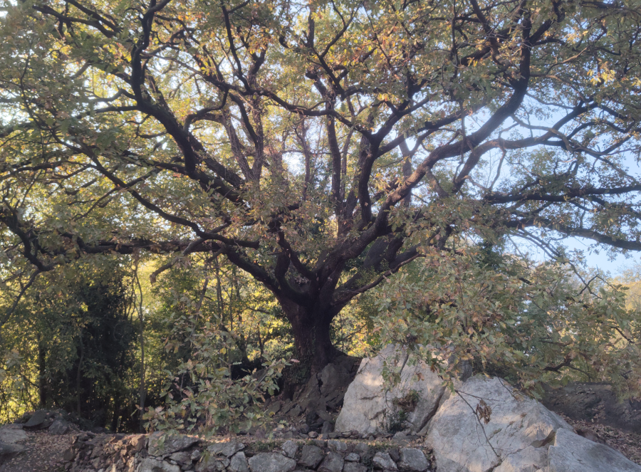 riabituarsialpoco.png riabituarsialpoco.png