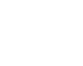 logo trasparente bianco