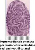 scena-del-crimine-kit-competo-impronte-digitali-professionale
