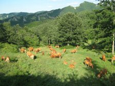 06741413c5107de8ba60399cc12a7ee3d0180228 06741413c5107de8ba60399cc12a7ee3d0180228