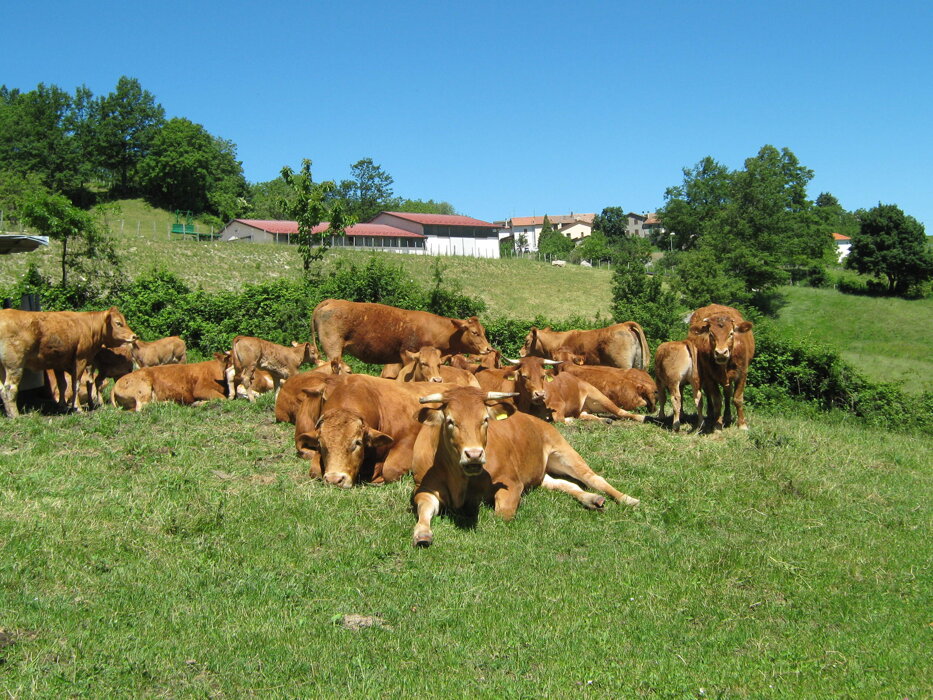 bbd4a3f240cf9907a1524619fea78713d1811a94 bbd4a3f240cf9907a1524619fea78713d1811a94