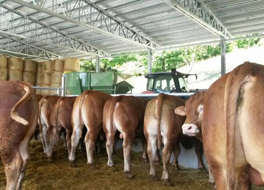 ebf9af0caad860d5f3e248e3bc7837ff856557f9