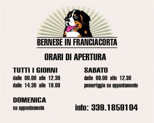 2127ec4f7fa9bef12752bd966bb91fcedf7e8443