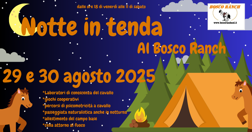 notte in tenda 2 (2)