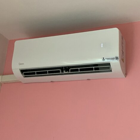 img_8986.jpeg img_8986.jpeg