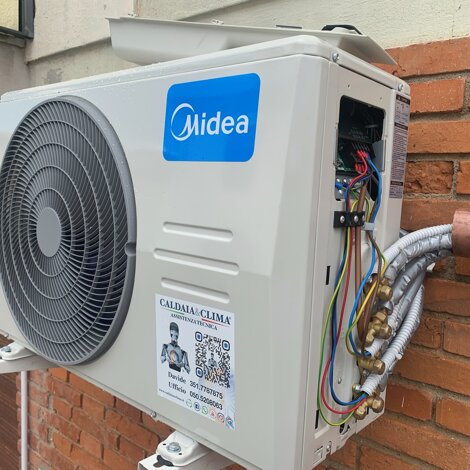 img_1231.jpeg img_1231.jpeg