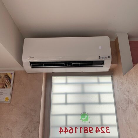 img_4393.jpeg img_4393.jpeg