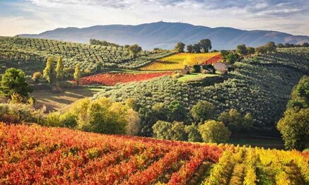 100900f53b42f4a417eab9ac7d8f91915859afbb 100900f53b42f4a417eab9ac7d8f91915859afbb