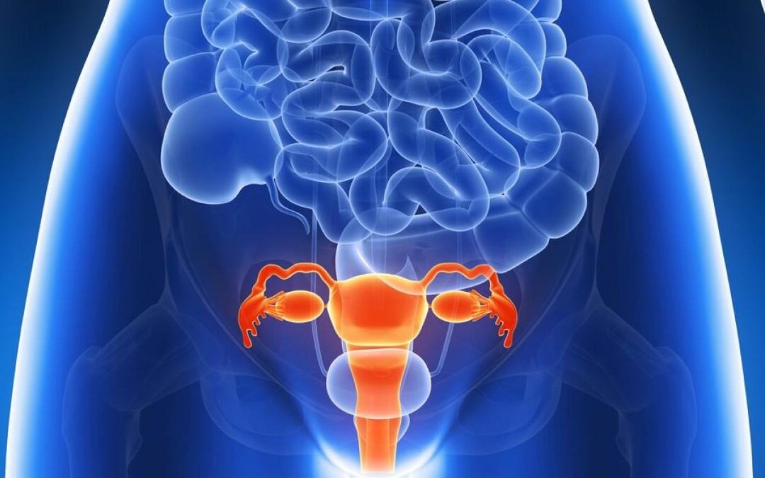 Endometriosi studio biome-endo Sacro Cuore don Calabria Negrar