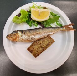 20240529_200305.jpeg 20240529_200305.jpeg