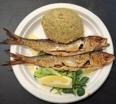 screenshot_20260228_222203_adobe acrobat.jpeg