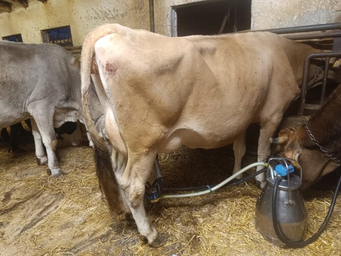 immagine whatsapp 2025-03-01 ore 16.52.10_3188e92b.jpeg immagine whatsapp 2025-03-01 ore 16.52.10_3188e92b.jpeg