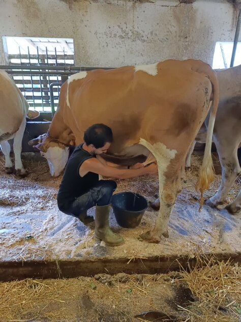 immagine whatsapp 2025-04-28 ore 17.16.07_e817e783.jpeg immagine whatsapp 2025-04-28 ore 17.16.07_e817e783.jpeg