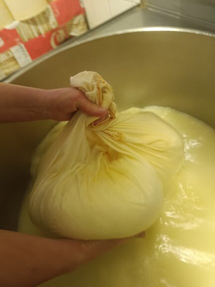 immagine whatsapp 2025-03-01 ore 16.52.09_435f170d.jpeg immagine whatsapp 2025-03-01 ore 16.52.09_435f170d.jpeg