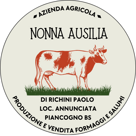 logononnaausilia2024 logononnaausilia2024