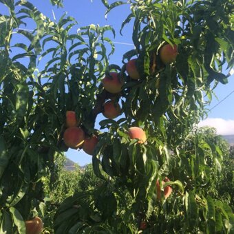 79aee4516ba4aac9719d6196b881b6023168b7c5