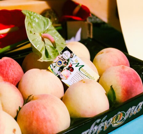 b0d88c1787e5140a52a9d1456045e59b3caf4020