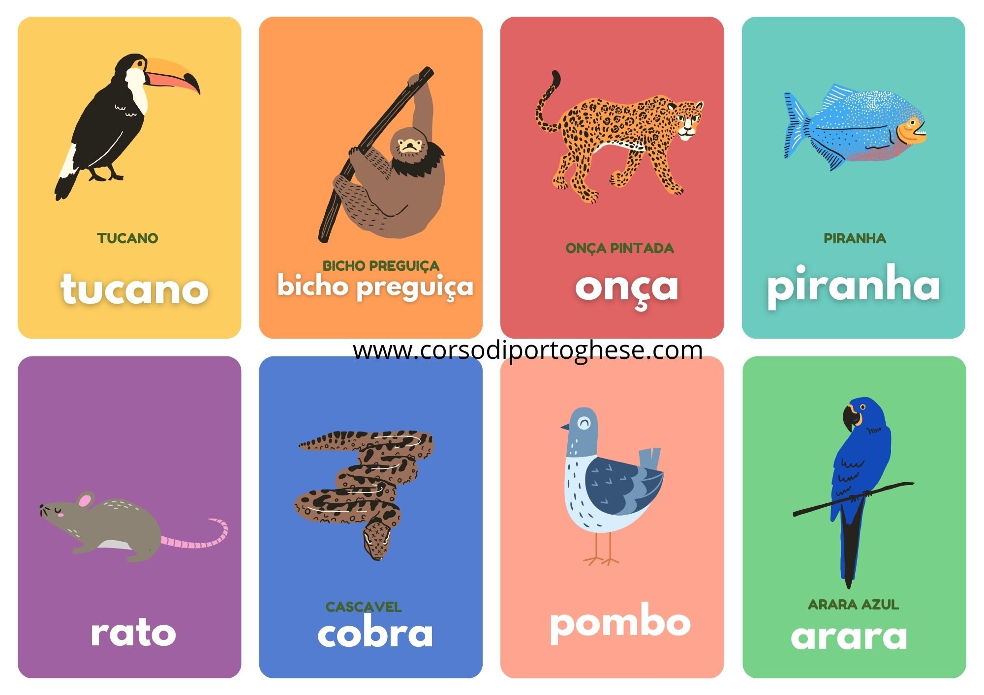 animais-4x4.jpeg