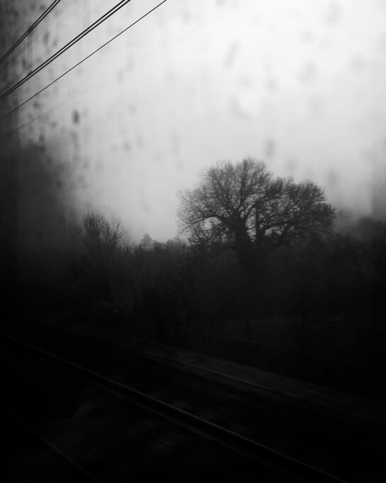 Albero tra i cespugli e linee elettriche nella fitta nebbia mattutina, visti dal finestrino di un treno. - A tree among bushes and overhead lines in dense morning mist, seen through a train window.