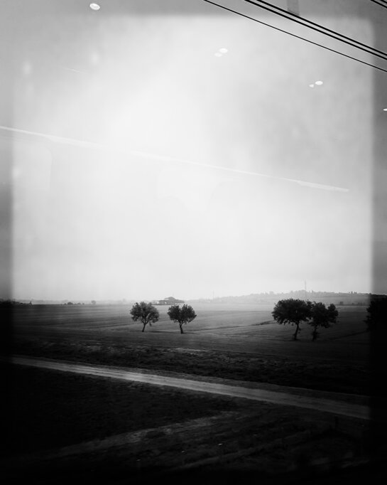 JTdCJTIyaXQlMjIlM0ElMjJTdHJhZGElMjBlJTIwYWxiZXJpJTIwc3BhcnNpJTIwbmVsbGElMjBjYW1wYWduYSUyMG5lYmJpb3NhJTIwYWxsJUUyJTgwJTk5YWxiYSUyQyUyMHZpc3RhJTIwZGFsJTIwdHJlbm8lMjB0cmElMjBFbWlsaWElMjBlJTIwQ2VudHJvJTIwSXRhbGlhLiUyMC0lMjBSb2FkJTIwYW5kJTIwc2NhdHRlcmVkJTIwdHJlZXMlMjBpbiUyMG1pc3R5JTIwY291bnRyeXNpZGUlMjBhdCUyMGRhd24lMkMlMjBzZWVuJTIwZnJvbSUyMGElMjB0cmFpbiUyMGJldHdlZW4lMjBFbWlsaWElMjBhbmQlMjBjZW50cmFsJTIwSXRhbHkuJTIyJTdE