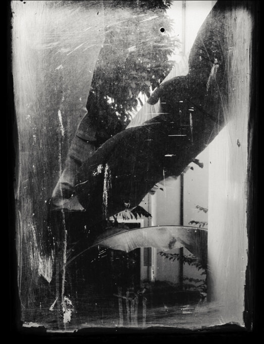 Grande palma in un cortile interno, vista attraverso una finestra chiusa e incrostata di vernice. - A large palm in an inner courtyard, viewed through a closed, paint-encrusted window.
