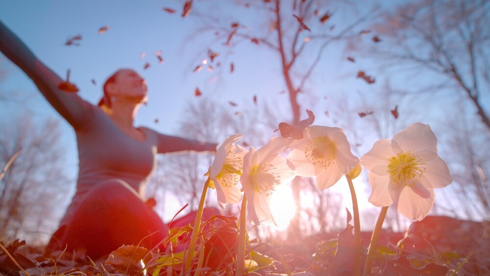 shutterstock_2729393193.jpeg shutterstock_2729393193.jpeg