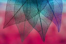 vibrant-blue-colored-autumn-leaves_23-2148239706.jpeg