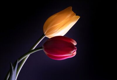 macchina fotografica.jpeg