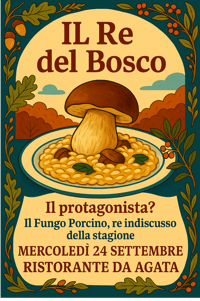 Il Re del Bosco