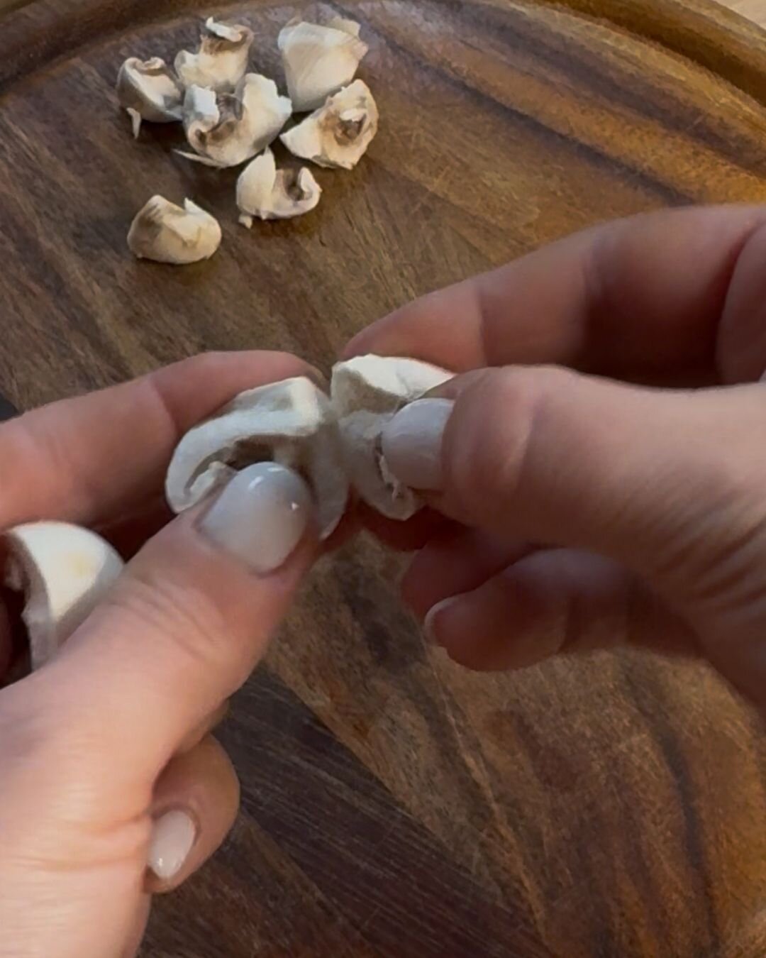 spezzetto-i-funghi-con-le-mani-500-.jpeg spezzetto-i-funghi-con-le-mani-500-.jpeg