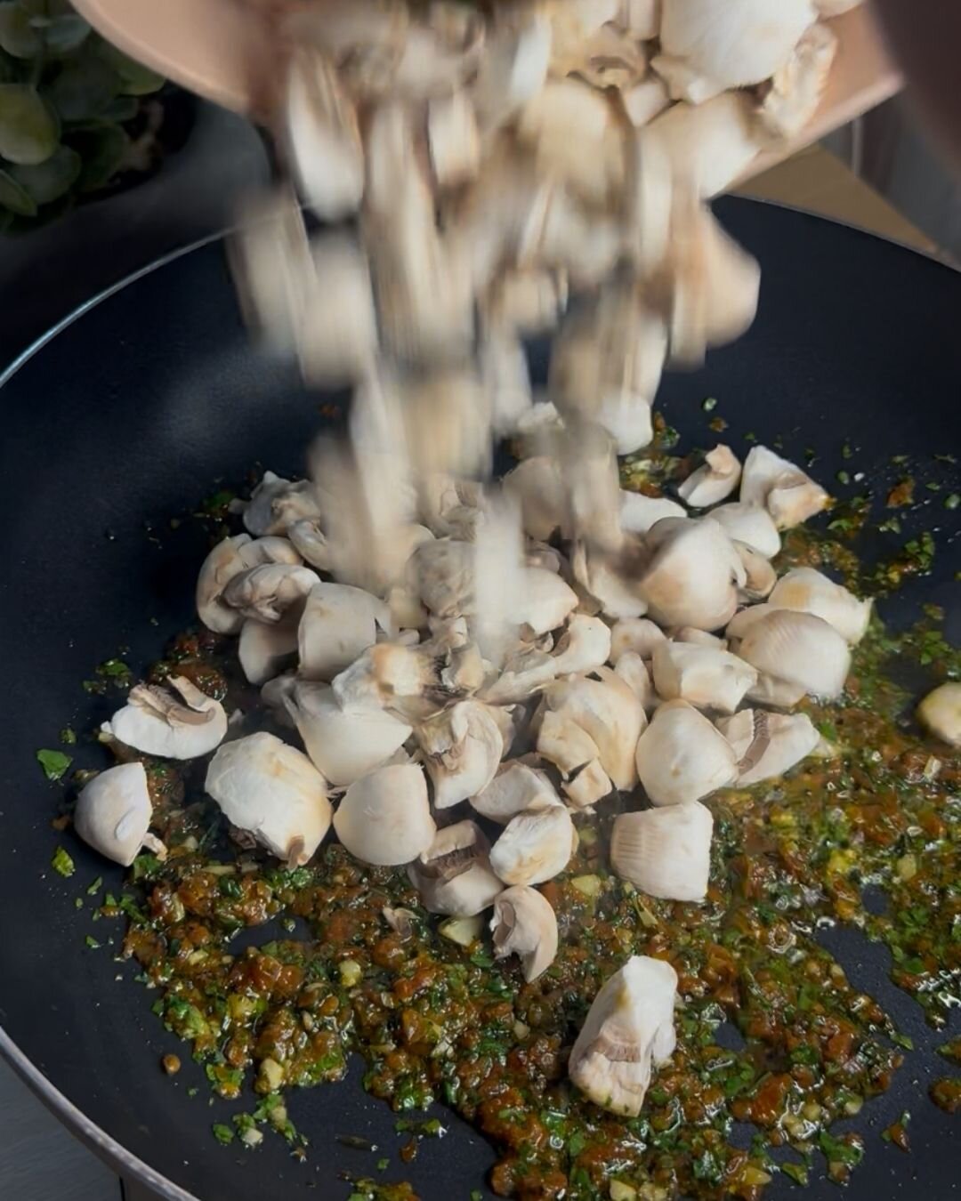 verso-funghi-in-padella-500-.jpeg verso-funghi-in-padella-500-.jpeg