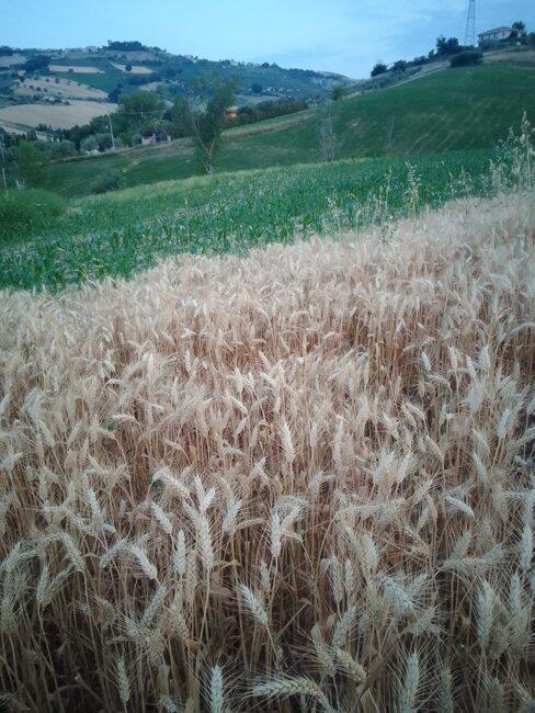 whatsapp image 2025-06-09 at 20.18.49.jpeg