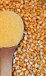 farina-di-mais-bramata-la-grezza