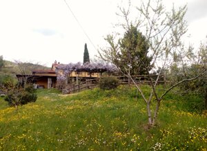 img_20210413_114657.jpeg