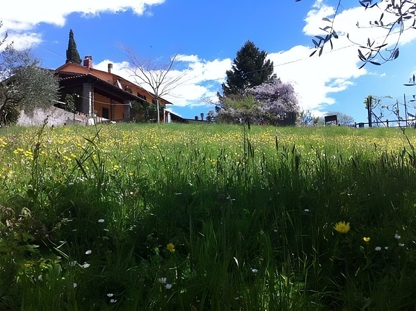 foto home 1.jpeg