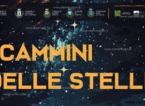 arrow-down-sign-to-navigate (1)