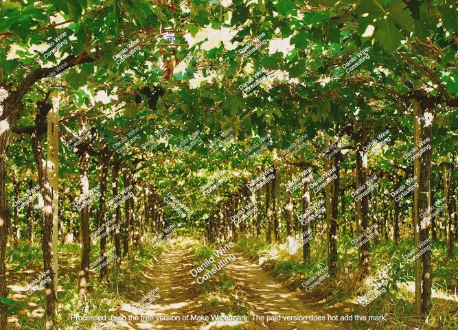 capanna.jpeg capanna.jpeg