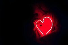 pexels-designecologist-887349.jpeg