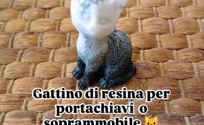 gattino_4.jpeg