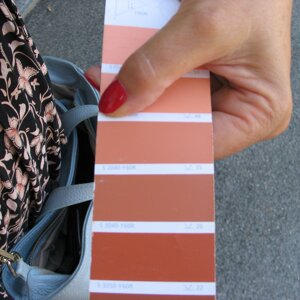 eyJpdCI6IlBlcnNvbmFsaXp6YXppb25lIGdhbW1hIGNvbG9yZSBkZWxsYSBjYXJ0YSBkYSBwYXJhdGk6IHNjZWx0YSBkZWxsYSB0b25hbGl04CJ9