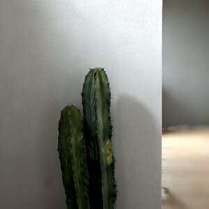 Gamma di colori neutri