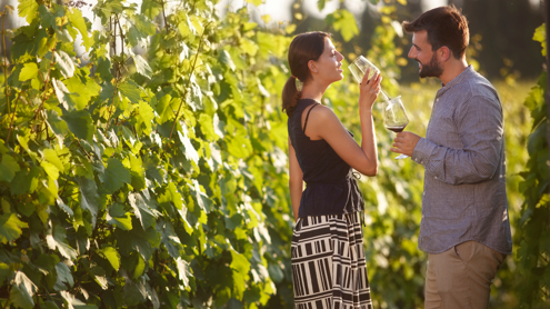 degustazione vini
