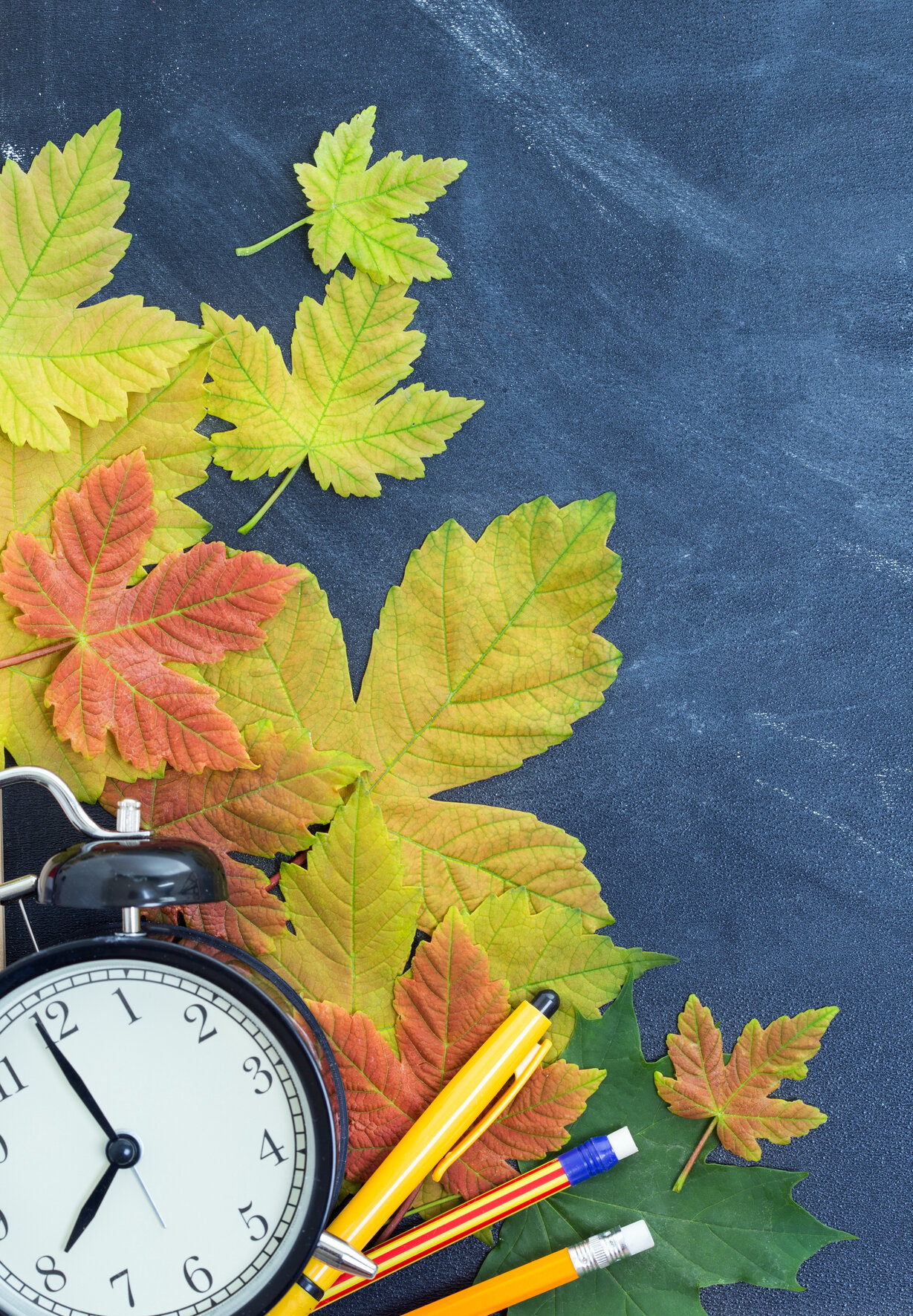 L'EDITORIALE L'EDITORIALE