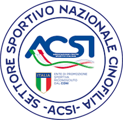 logo-acsi4